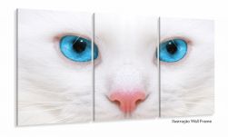 Quadro Decorativo Gato Olho Azul 3 partes 120x60  em tec