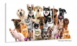Quadro Decorativo Cães E Gatos Pets Hd 120x60  Quarto Sala