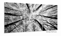 Quadro Moderno Árvores Preto e Branco Para Sala 120x60 3 peças
