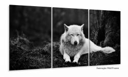 Quadros Decorativos Lobo Branco 120x60 3 peças em Tecido