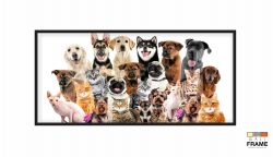 Quadro Decorativo Cães E Gatos Pets Hd 130x60 Moldura Preta 2x2
