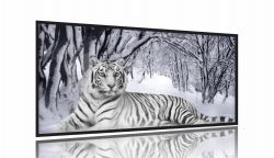 Quadro Decorativo Tigre Branco Animais 130x60 Moldura Preta 2x2